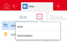 Der Screenshot zeigt das Dropdown-Menü neben der Akte, über das Sie die Art der angezeigten Akte wählen können.