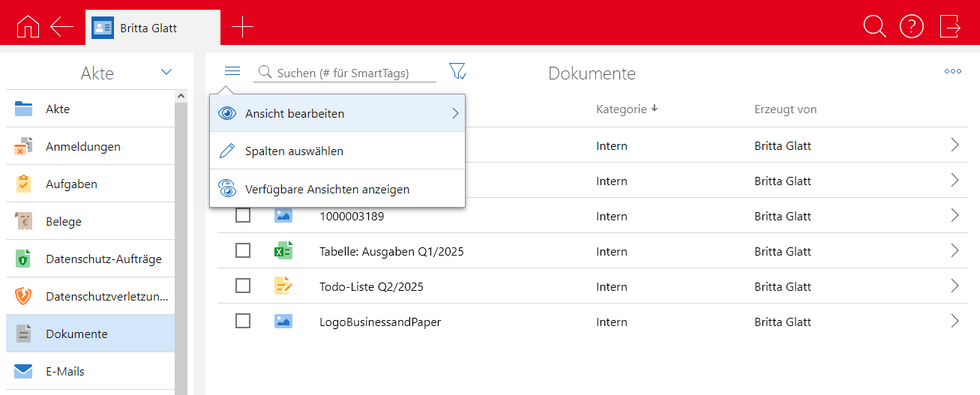 Der Screenshot zeigt eine Akte mit dem geöffneten Ansichtsmenü.